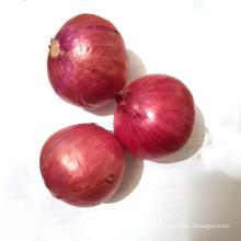 Natural Fresh Non Peeled Red Onion Export quality